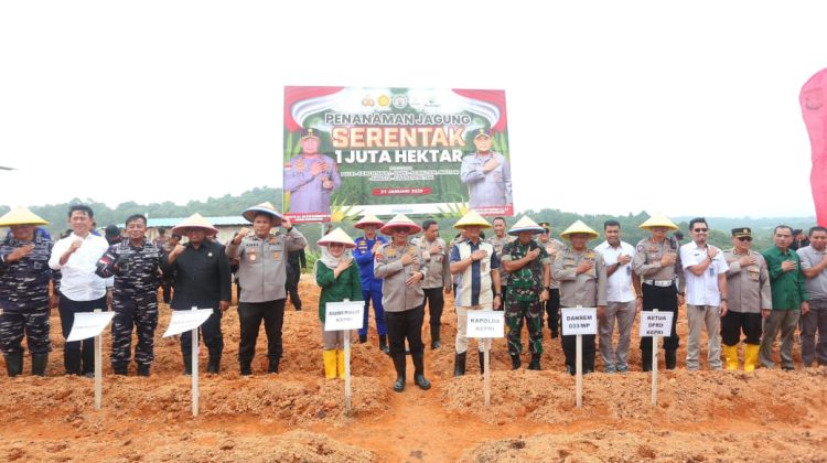 Polda Kepri Tanam 30 Ribu Bibit Jagung Di Teluk Mata Ikan 