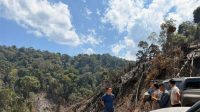 Tiga Pelaku Pembakar Hutan di Rohul Ditangkap
