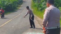 Tragedi Dua Nyawa Melayang di Jalan Lintas Timur Pelalawan