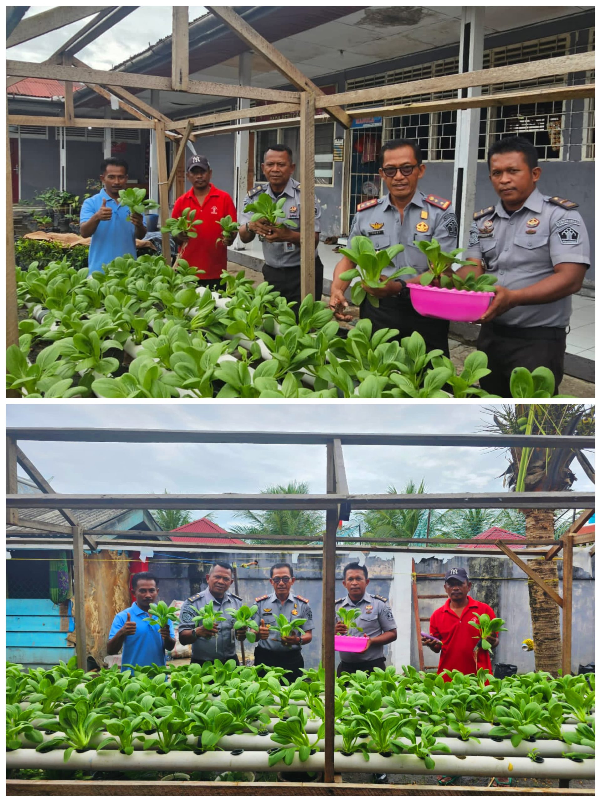 Wujudkan Program Menteri Imigrasi dan Pemasyarakatan, Kalapas Tinjau Kegiatan Ketahanan Pangan di Area Bimker Lapas