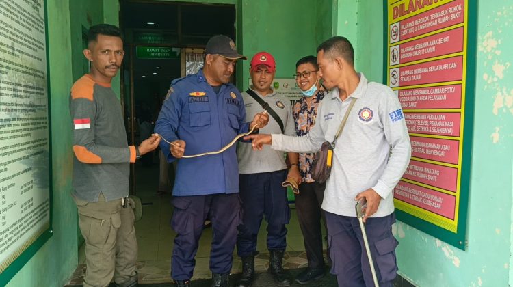 Tim Damkar Regu IIII mengevakuasi ular di IGD RSUD Kepulauan Meranti. F: Ist