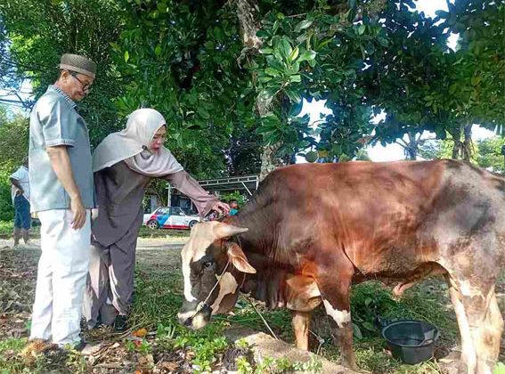 Wakil Wali Kota Tanjungpinang, Raja Ariza, bersama istrinya, Handayani, melihat kurban di kediaman pribadinya di Jalan Yos Sudarso. F: Ist