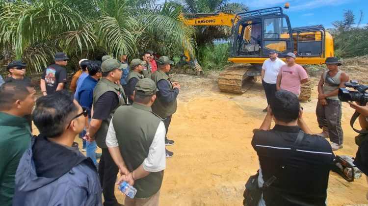 Penyerahan lahan sawit di TNTN kepasa Satgas PKH.