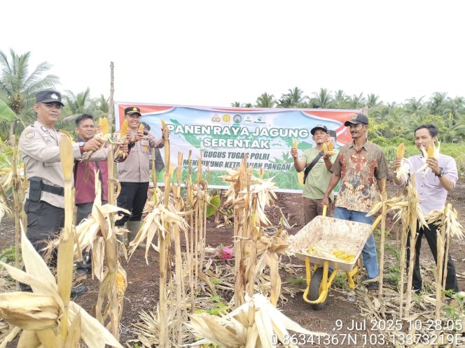 
					Polsek Rangsang Gelar Panen Jagung Pipil Dukung Ketahanan Pangan