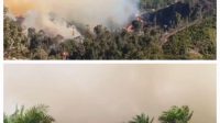 Kisah Jerebu: Takkan Karhutla Hilang di Riau