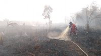 Alamak! Karhutla di Kampar Meluas, Sumber Air Habis