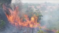 Parah! Karhutla di Riau Meluas, Asap Sampai Malaysia, Helikopter Water Bombing Rusak