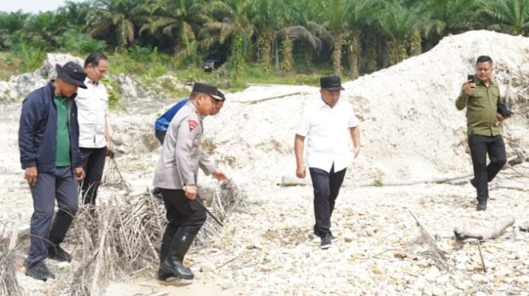 Gubri Wahid saat meninjau PETI di tengah kebun sawit.