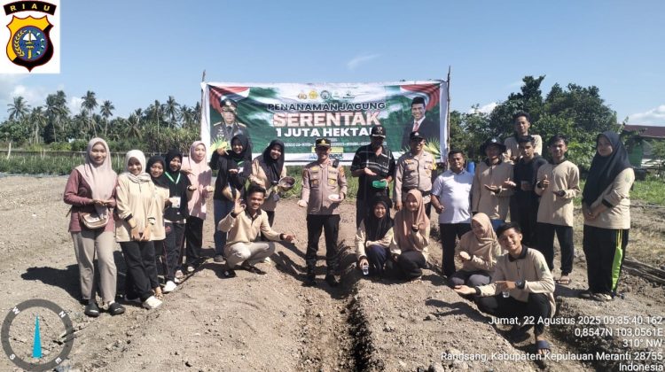 Menanam Harapan di Teluk Samak, Jagung Pipil untuk Ketahanan Pangan