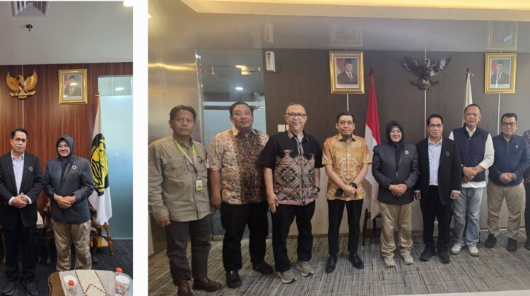 Bupati Siak Dr. Afni Zulkifli bersama rombongan saat bertemu Direktur Jenderal Minyak dan Gas Bumi (Migas) Kementerian ESDM, Laode Sulaeman, di Jakarta. (Foto: ist)