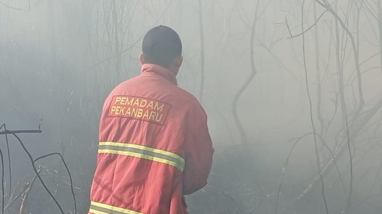 Kebakaran hutan dan lahan (Karhutla) di Kampar. (Foto: ist)