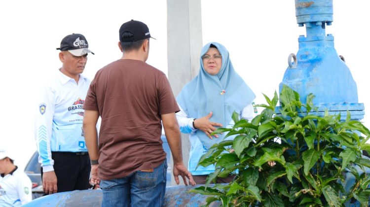 Bupati Afni saat meninjau sawah di Kecamatan Bungaraya akhir pekan lalu. (Foto: ist)