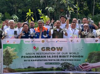 Bersama SKK Migas Sumbagut dan KKKS di Riau PT BSP kembali ikut tanam 14.505 pohon. (Foto: ist)