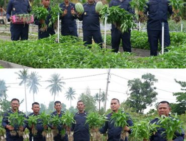 Lapas Kelas IIB Selatpanjang gelar panen raya di lahan ketahanan pangan. (Foto: ist)