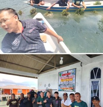 Budidaya rumput laut di Pulau Kasu. (Foto: ist)