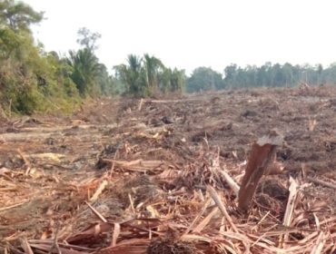 Sengketa Lahan Lingga. (Foto: ist))