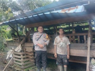 Foto Bhabinkamtibmas Alahair BRIPKA Mukhtar Rosidi, bersama pemilik peternakan, Purwati cek kesehatan Kambing