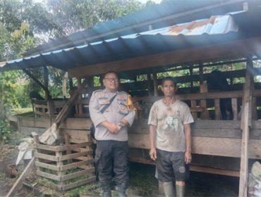 Foto Bhabinkamtibmas Alahair BRIPKA Mukhtar Rosidi, bersama pemilik peternakan, Purwati cek kesehatan Kambing