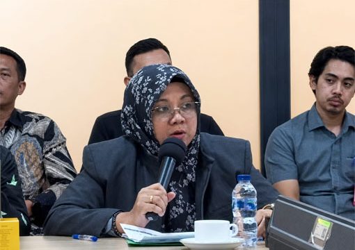 Dr. Afni Zulkifli, Bupati Siak. (Foto: ist)