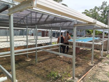 Pengecekan program ketahanan pangan P2B hidroponik milik warga di Selatpanjang Kota, Kecamatan Tebing Tinggi, Kabupaten Kepulauan Meranti. (Foto: Ist)