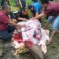 Foto Ketua DPD PKDP Pulau Kundur Zul Asri alias Ambo (baju hitam), bersama anggota saat proses pengulitan sapi kurban. (Foto: ist)