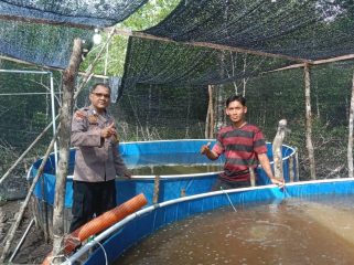 Foto saat Bhabinkamtibmas Desa Sesap Bripka Ilham Edi Cek Lokasi Budidaya Udang Vaname 
