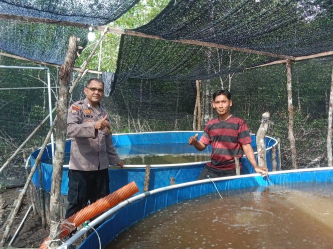 
					Foto saat Bhabinkamtibmas Desa Sesap Bripka Ilham Edi Cek Lokasi Budidaya Udang Vaname 