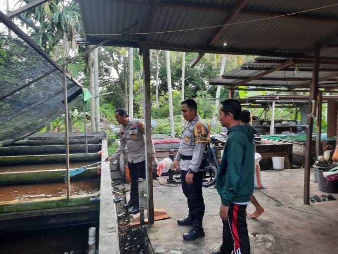 
					Polsek Tebingtinggi Cek Ketahanan Pangan P2B Kolam Lele di Desa Banglas Barat