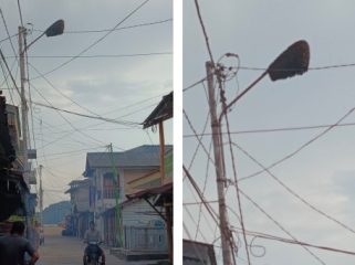 Kawanan lebah berkumpul dan bergantungan di salah satu tiang lampu penerangan jalan. (Foto: Bambang)