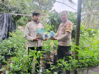 Bhabinkamtibmas Desa Lemang mengunjung petani cabe rawit . (Foto: ist)