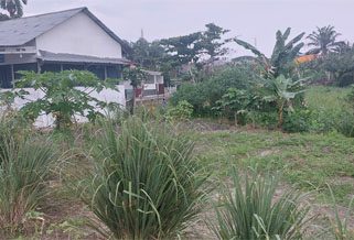 Lahan kebun KWT Gamar Sejahtera kini diberi plang bahwa tanah tersebut milik pribadi seseorang. (Foto: ist)
