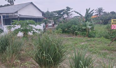 Lahan kebun KWT Gamar Sejahtera kini diberi plang bahwa tanah tersebut milik pribadi seseorang. (Foto: ist)