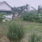 Lahan kebun KWT Gamar Sejahtera kini diberi plang bahwa tanah tersebut milik pribadi seseorang. (Foto: ist)