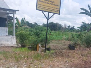 Lokasi KWT Gamar Sejahtera di Pandau Jaya. (Foto: ist)