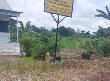 Lokasi KWT Gamar Sejahtera di Pandau Jaya. (Foto: ist)
