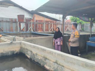Pengecekan ketahanan pangan sektor perikanan milik warga. (Foto: Ist)