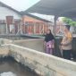 Pengecekan ketahanan pangan sektor perikanan milik warga. (Foto: Ist)