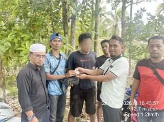 Foto Terduga Pelaku saat Diamankan yang disaksikan Kepala Desa Bina Maju