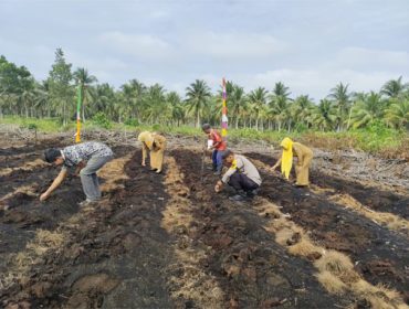 Pengecekan lahan tanaman jagung pipil Kuartal I Tahun 2026 di Desa Beting. (Foto: ist)