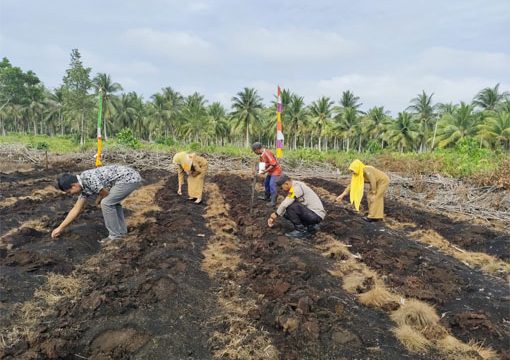 Pengecekan lahan tanaman jagung pipil Kuartal I Tahun 2026 di Desa Beting. (Foto: ist)