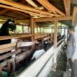 Pengecekan program Ketahanan Pangan P2B berupa peternakan kambing. (Foto: ist)