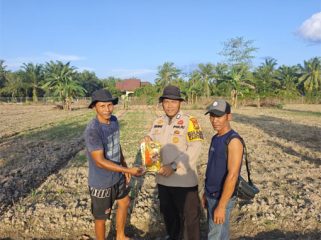 Penyerahan bibit jagung pipil kepada masyarakat masyarakat. (Foto: ist)