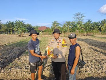 Penyerahan bibit jagung pipil kepada masyarakat masyarakat. (Foto: ist)
