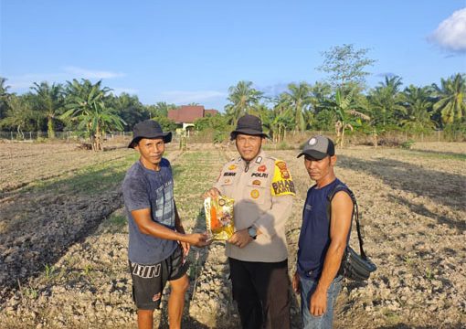 Penyerahan bibit jagung pipil kepada masyarakat masyarakat. (Foto: ist)
