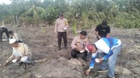 Polsek Rangsang Tanam Jagung Pipil di Desa Tanjung Samak