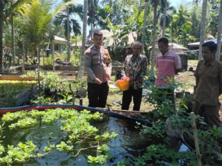 Pengecekan kelompok ternak ikan mujair di Jalan Mahmud RT 09 RW 02 Dusun 2, Desa Sungai Cina, Kecamatan Rangsang Barat. (Foto: ist)