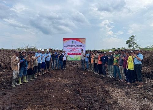 Pengurus Koperasi Serasi Sepadu Jaya, manajemen PT Priatama Riau, dan perwakilan petani plasma hadir langsung di lokasi lahan yang baru dibuka