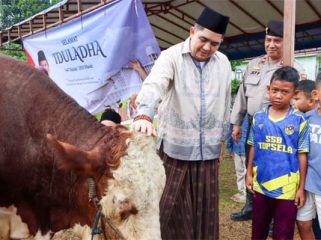 Bupati Bintan Roby Kurniawan Serahkan Sapi Kurban Presiden RI. (Foto: ist)