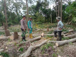 Pembersihan lahan  dimanfaatkan sebagai kawasan ketahanan pangan di Dusun Darul Takzim. (Foto: ist)
