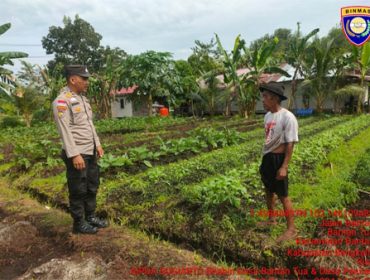 Bhabinkamtibmas Desa Bantan Tua cek ketahanan pangan ke petani cabe. (Foto: ist)